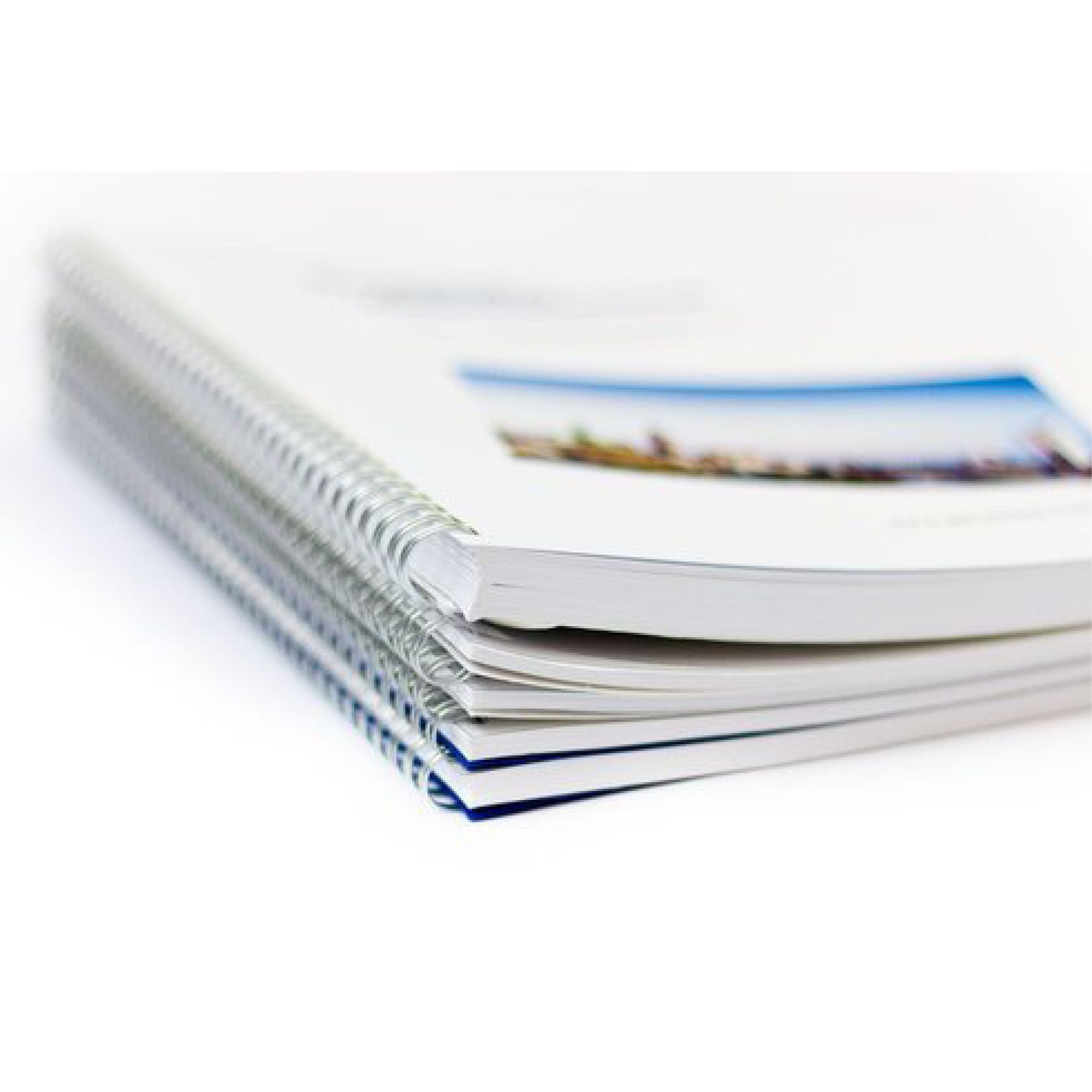 Verslagen en scripties